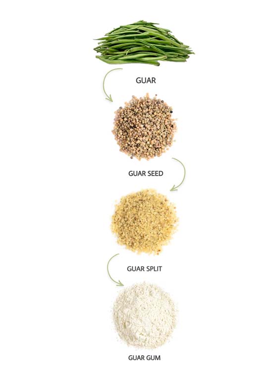 guar-gum-powder-guar-gum-manufacturer-and-exporter